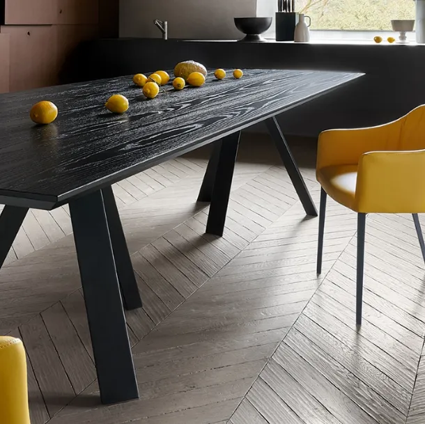 Asana leather chair with armrests by Ronda Design