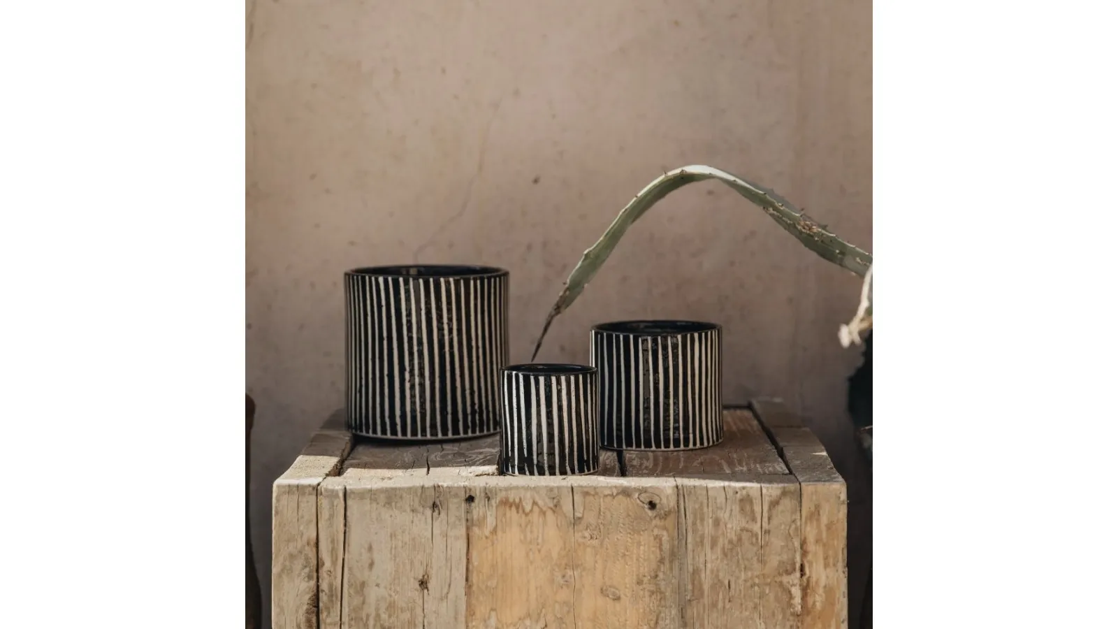 Candle Céramic Collection Zebrata by Côté Bougie