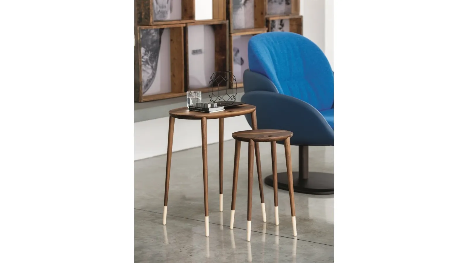 Modern coffee table in solid Canaletto walnut wood with natural maple Rogers feet by Porada