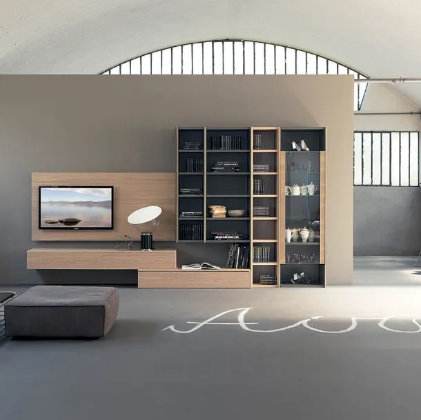 Edis 02 Wall Unit in Elm and Slate Lacquered by Fimar