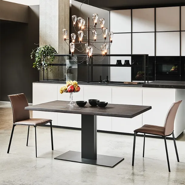 Table with steel base and Elvis Wood walnut wood top by Cattelan Italia